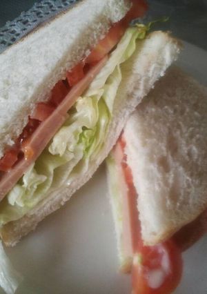 A picture of Lite sandwich.