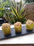 Banana Cupcake