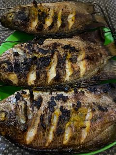 Foto resep Ikan sungai bakar