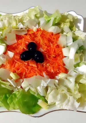 Une photo de Salade laitue carottes oignon vert 🍴