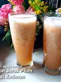Jus Melon Jeruk Plum Tomat Ketimun