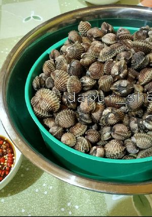 Foto resep Kerang Dara Rebus