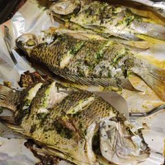A picture of Whole tilapia in herbs and garlic.