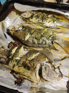 A picture of Whole tilapia in herbs and garlic.