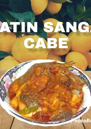 Foto resep Ikan Patin Sanga Cabe