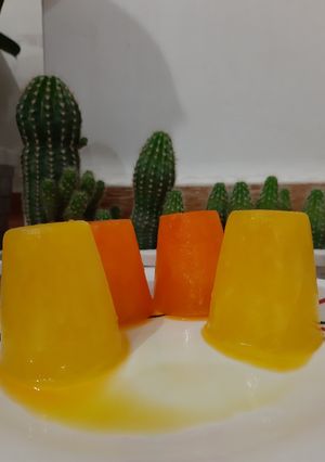 عکسی از دستور آلاسکا☺️