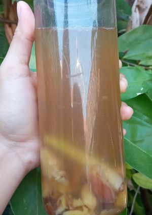 Foto resep Wedang Jaken Sekur Mapan (Jahe Kencur Serai Kurma Madu Pandan)