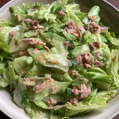 A picture of Iceberg Lettuce & Tuna Salad.
