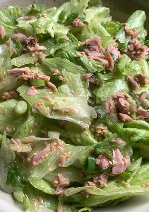 A picture of Iceberg Lettuce & Tuna Salad.