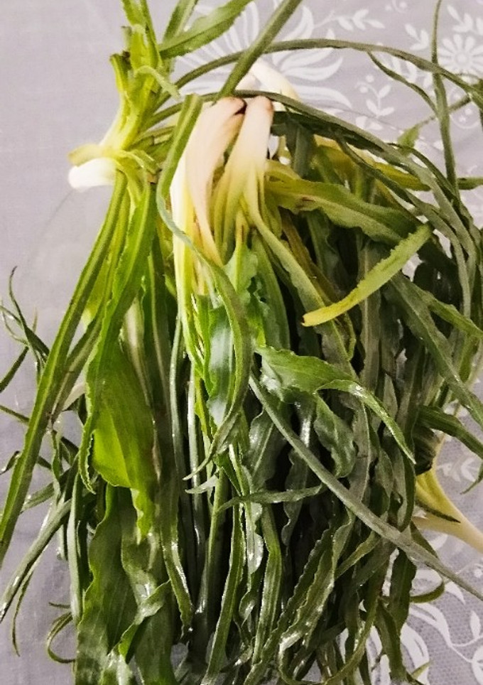 عکسی از دستور خوردن شنگ خام،