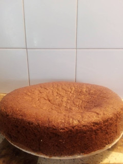 Una foto de Torta de Cacao en licuadora