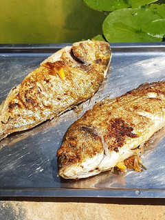 Una foto de Dorada con guarnición de salicornia y verduras