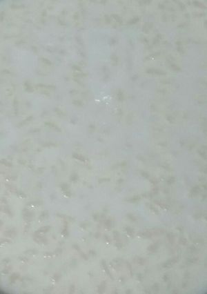A picture of Kheer.