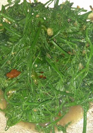 Foto resep Tumis pucuk labu / oseng daun labu