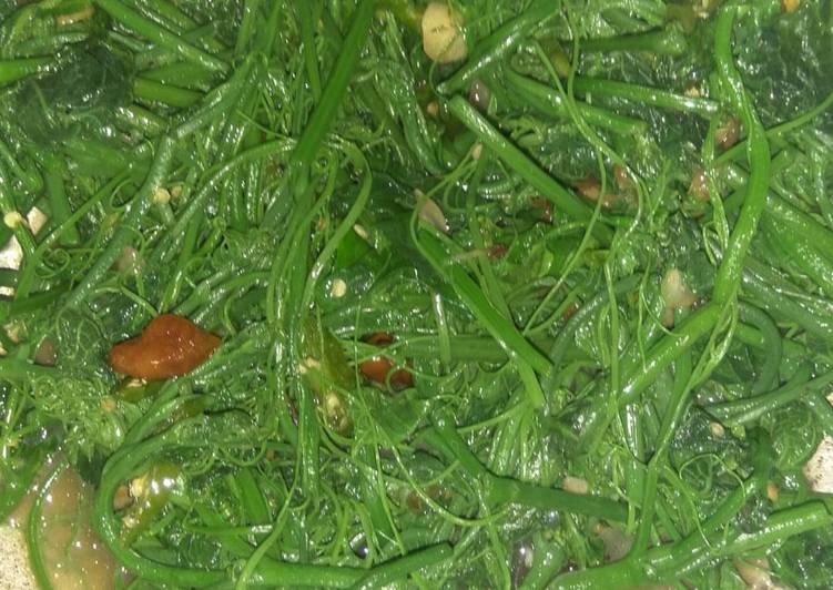 Resep Tumis pucuk labu / oseng daun labu Anti Gagal