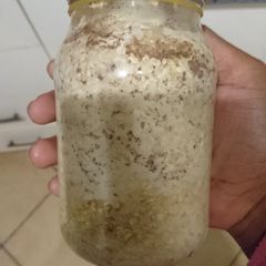 Overnight oats A picture of Overnight oats.