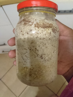 A picture of Overnight oats.