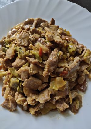 A picture of Sauteed Pork Slices.