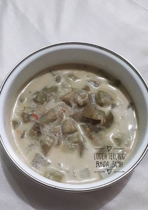 Foto resep Lodeh Terung