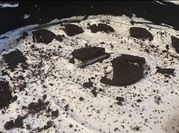 Kép erről: oreo torta sajttorta