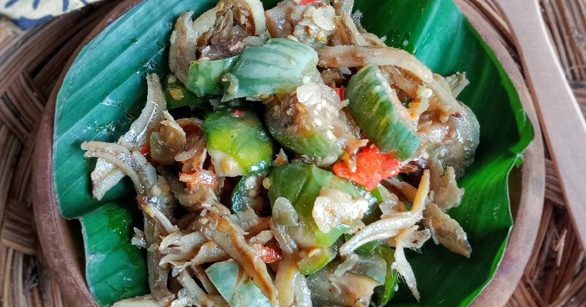 Resep Tumis Terong Hijau Bulat Teri Enak Dan Mudah Cookpad