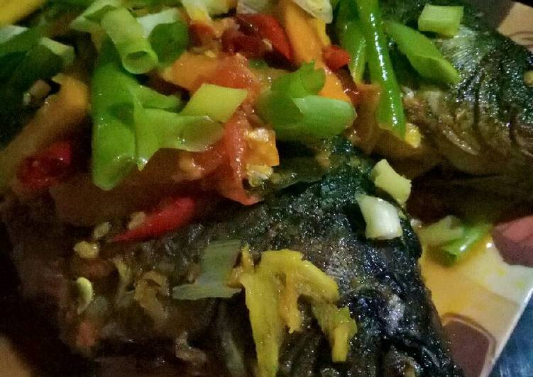 Pesmol Ikan mas 🐟🐟