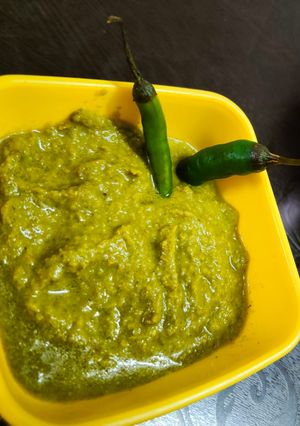 खट्टी मीठी तीखी हरी चटनी(khatti mithi tikhi hari chutney recipe in hindi) रेसिपी मुख्य फोटो