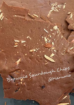 A picture of Brownie Sourdough Chips.