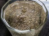 चिया सीड्स पानी (Chia seed Pani recipe in Hindi)