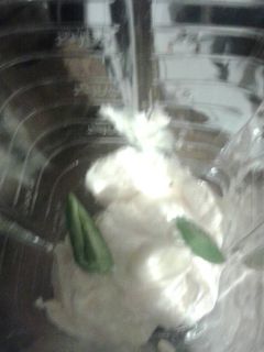 Una foto de Salsa verde a mi estilo chileno 😎✌🍱