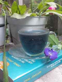 Foto resep Teh Bunga Telang