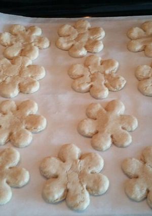 A picture of Cutout Cookies: egg, soy, dairy, & gluten-free. Corn-lite.