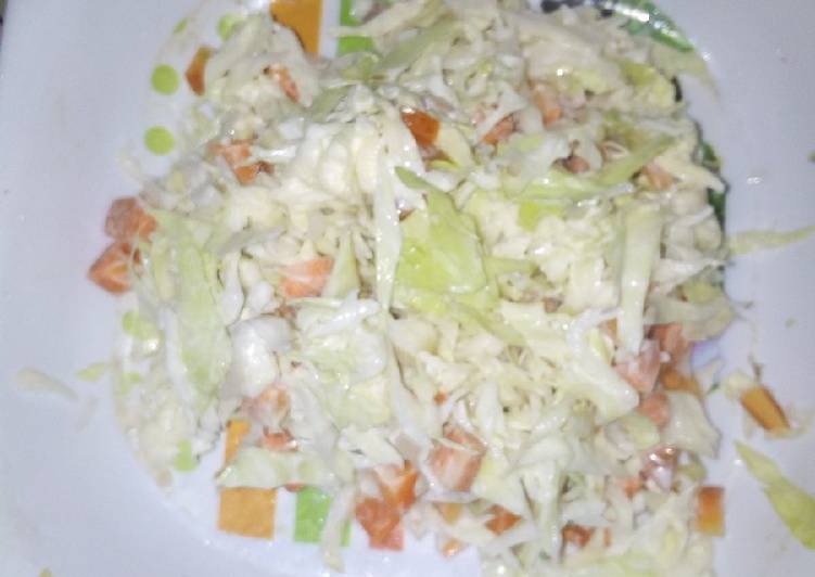 Easiest Way to Prepare Perfect Salad Cooking Basics for Newbies