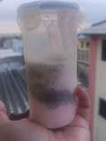 Yogurt griego con banano, fresas y chía