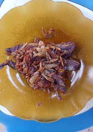 Foto resep Peda asin bawang goreng maknyus