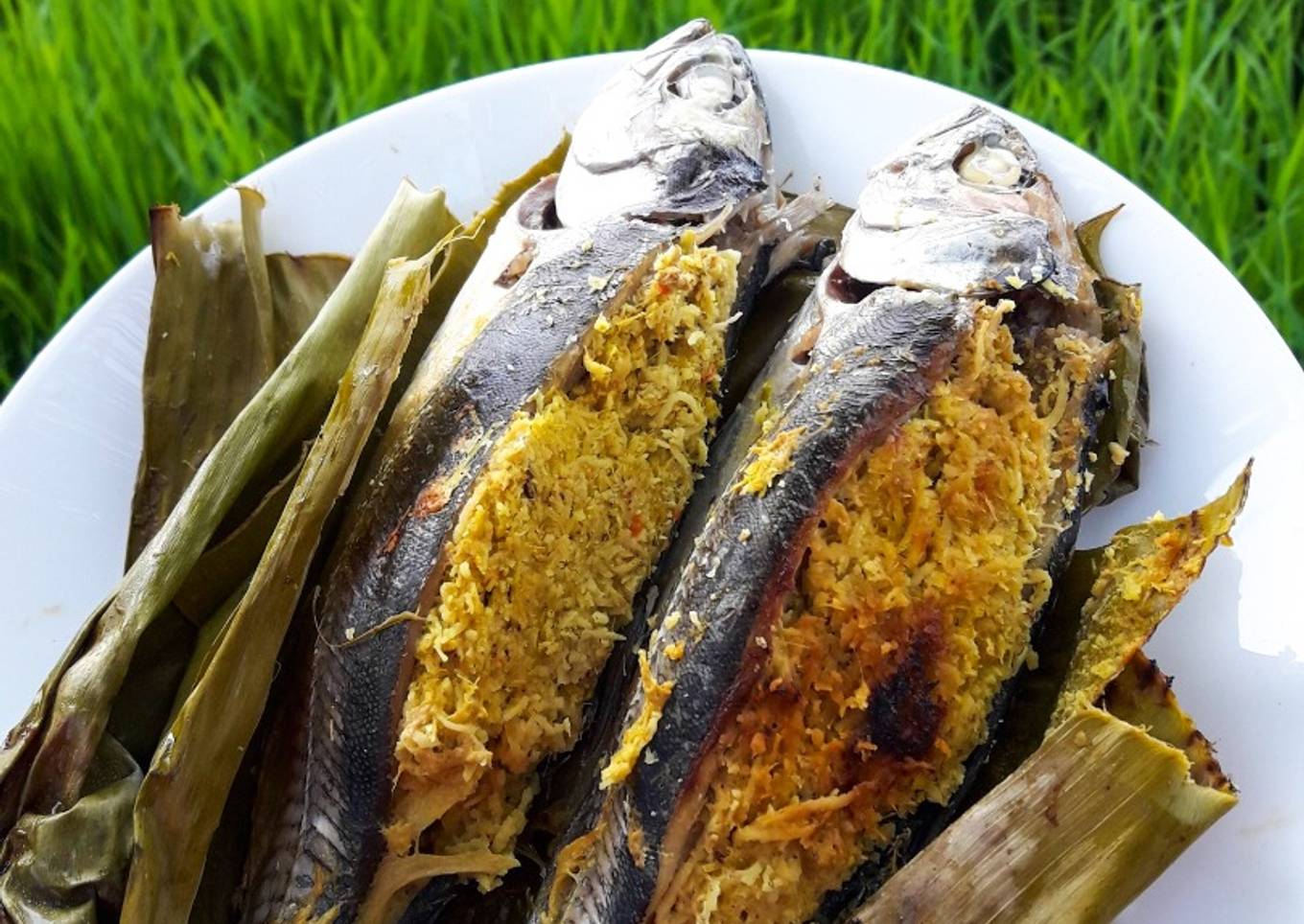 Ikan Cencaru Sumbat Kelapa #Marathonraya#ikan#minggu3