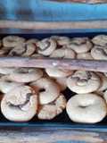Polvorón