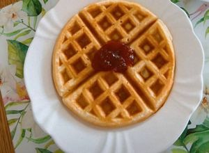 Foto de Waffles de Iogurte no Microondas