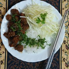 A picture of Vegan Soya Teriyaki.