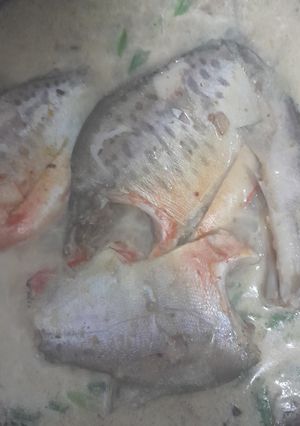 Foto resep Bawal santan