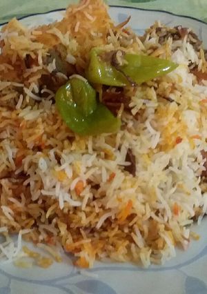 A picture of Sindhi Biryani.