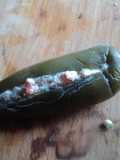Chile jalapeño barroco con requesón de queso de cabra y guacamole. Jalisco México