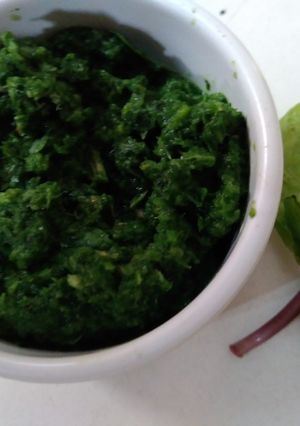 ચટણી(Chutney Recipe in Gujarati) રેસીપી મુખ્ય ફોટો