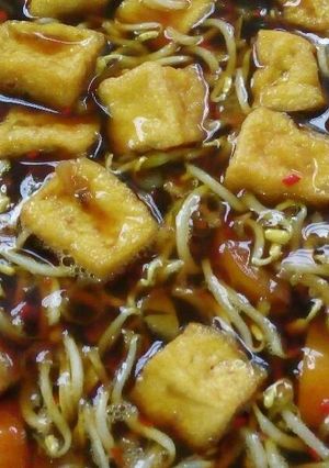Foto resep Tahu Kecambah Manis Segar