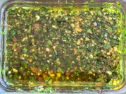 Una foto de chimichurri de chile