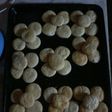 Bizcochitos