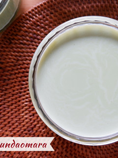 Foto resep Green Tea Silky Pudding