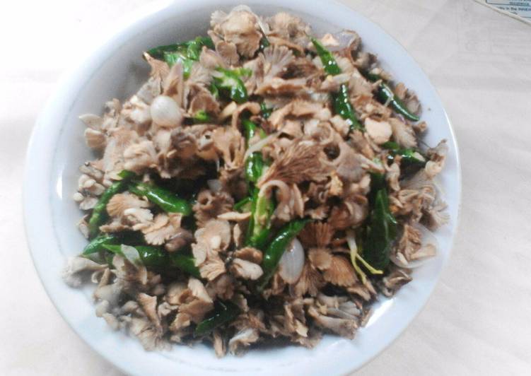Cara Menyiapkan Jamur cabe hijau Anti Gagal