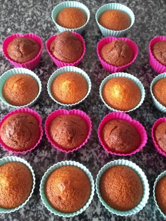 Una foto de Magdalenas clásicas y con chocolate