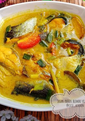 Foto resep Ikan patin bumbu kuning